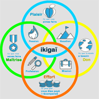construire son ikigai en LEGO avec LEGO SERIOUS PLAY