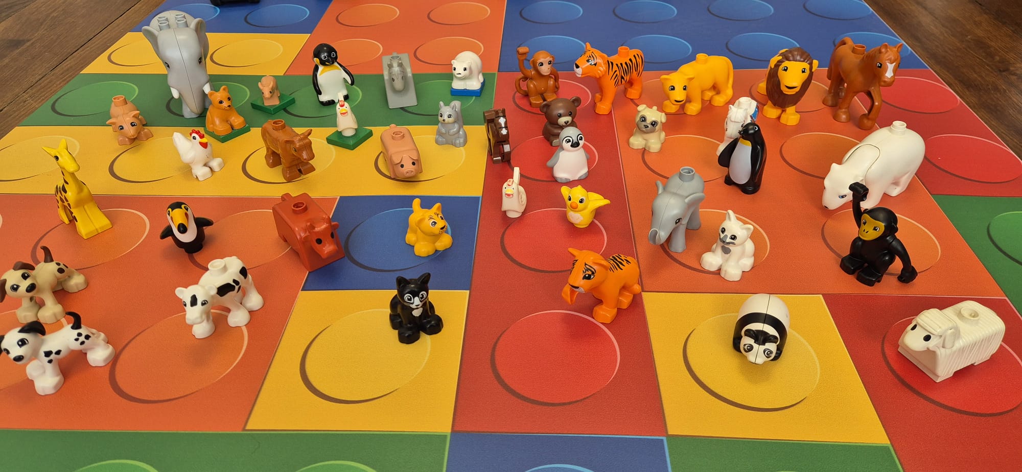 animaux LEGO DUPLO atelier école maternelle ou EHPAD